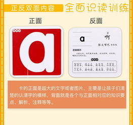 幼儿童看图识字卡片全套5盒3 6岁宝宝看图识字 数字卡片 汉语拼音卡片 婴儿卡片撕不烂书籍