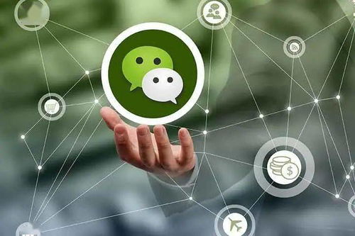 教育培训机构类微信公众号变现的七大手段 实战干货