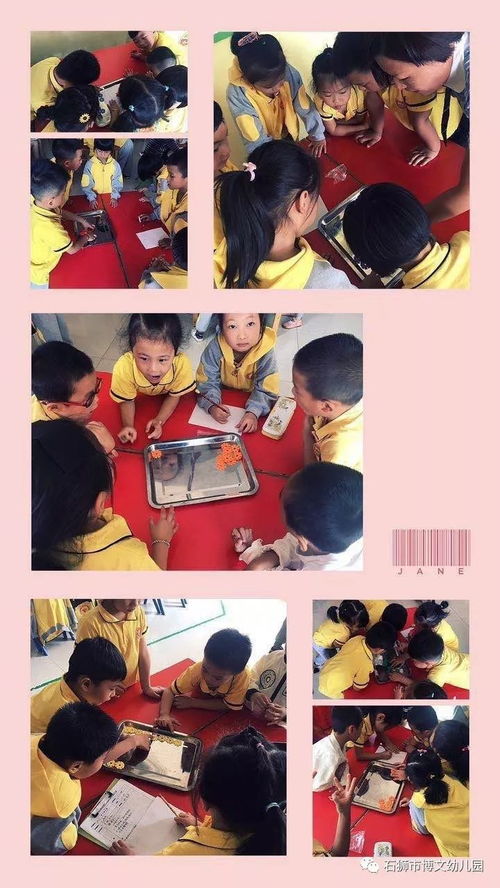 在操作中学习数学 记博文幼儿园数学公开课活动